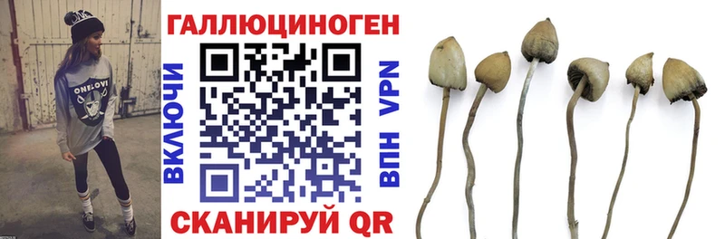 Псилоцибиновые грибы MAGIC MUSHROOMS  Каменка 