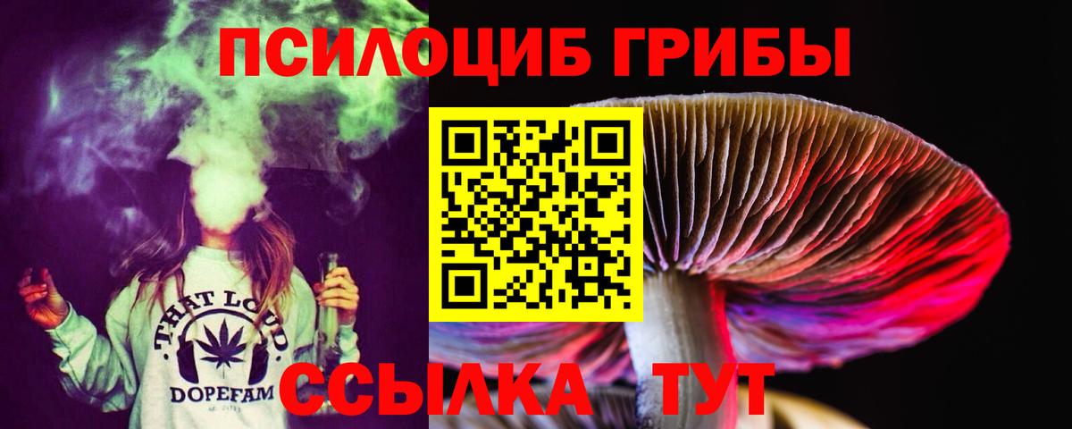 сколько стоит  Галлюциногенные грибы GOLDEN TEACHER  Вход с VPN  Каменка 