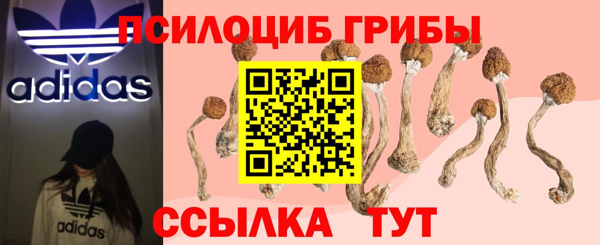 Псилоцибиновые грибы ЛСД Каменка